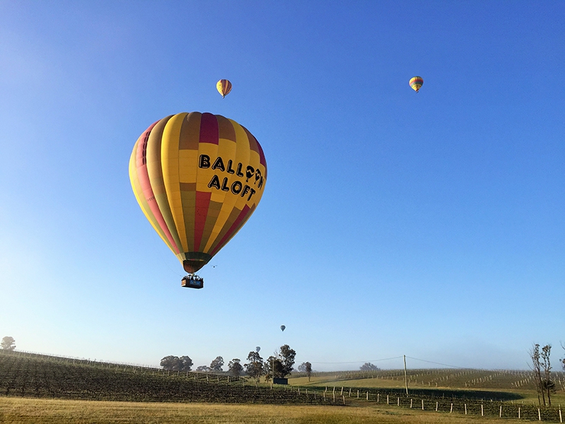Fly over the world famous Hunter Valley vineyards a few hours drive from Sydney, historical Camden Valley or the majestic Hawkesbury region with Australia&rsquo;s most experienced hot air ballooning company. The ballooning adventure mets 30 minutes before sunrise and, after a cup of coffee or tea and a flight briefing, passengers are transported to the chosen launch site for the day. This can be one of over a dozen launch sites in the region, depending on the wind conditions on the morning. During your balloon flight you will enjoy views of hills, rivers, forests, vineyards, scenic townships, national parks or farmland. Share the magic of an hour long balloon flight with fellow balloonists, and then, after landing, celebrate your exciting adventure over a gourmet a la carte breakfast and champagne celebration.