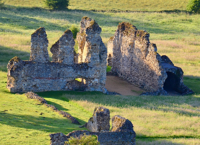 Thanks to Lucy Lazarus for this picture of Waverley Abbey Ruins