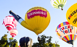 Special Shapes Balloons - George the Hoffmeister Bear as a hot air balloon