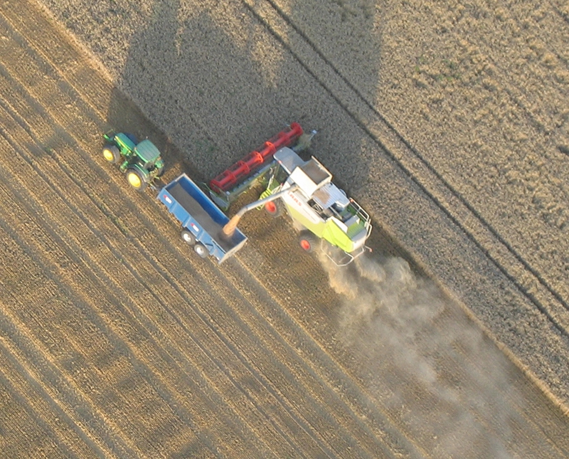 A regular summer sight on a balloon flight in Kent are the combine harvesters hard a work harvesting wheat for bread making or barley for animal feeds.