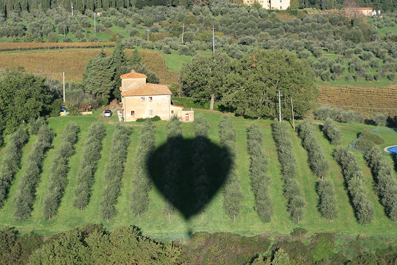 Our hot air balloon ride in&nbsp;Tuscany&nbsp;casts a shadow over the olive groves on this farmland