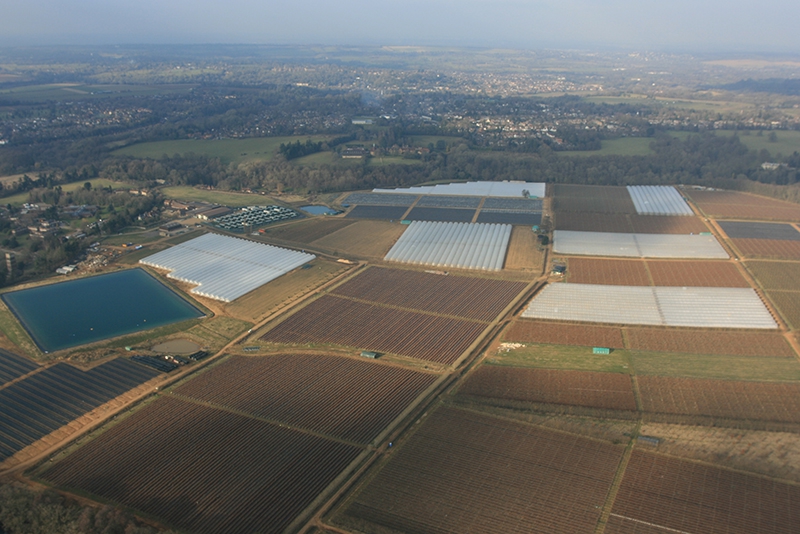 We think these are the green houses and poly tunnels that provide the produce sold at the local market gardening centre in&nbsp;Milford