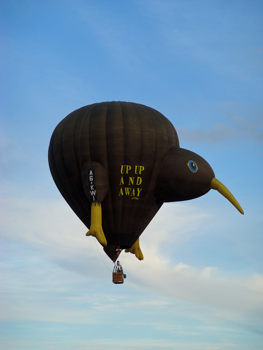 Hot air Kiwi special shape balloon