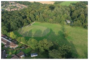 Hampshire Balloon Take Off